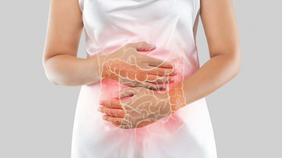 photo-large-intestine-is-woman-s-body-isolate-white-background-female-anatomy-concept