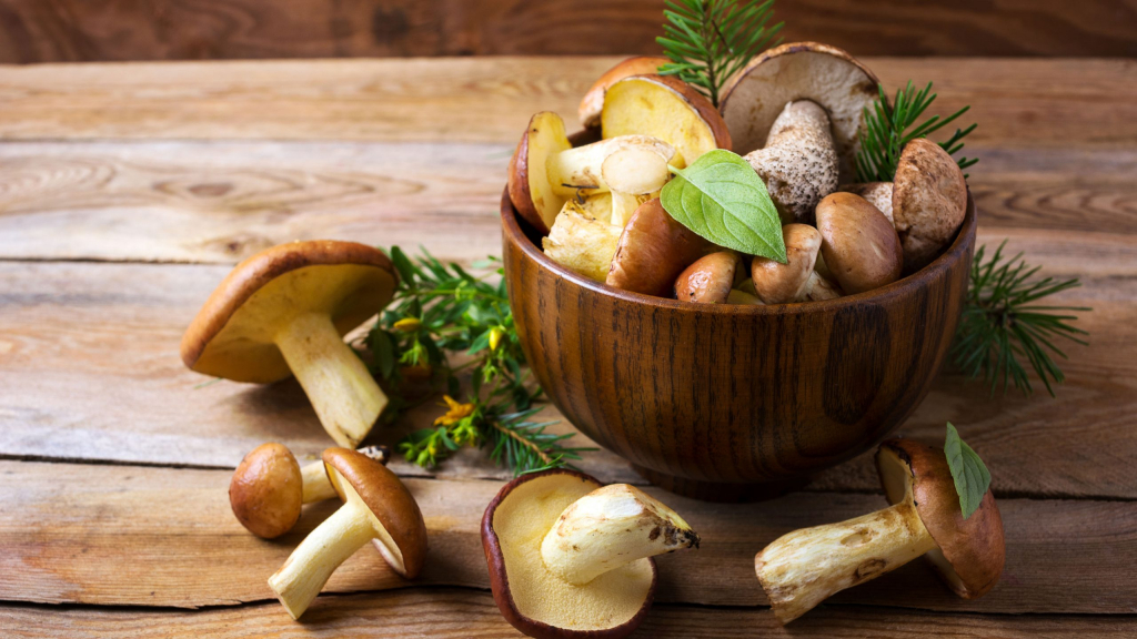 Mushrooms for Your Immune System Health