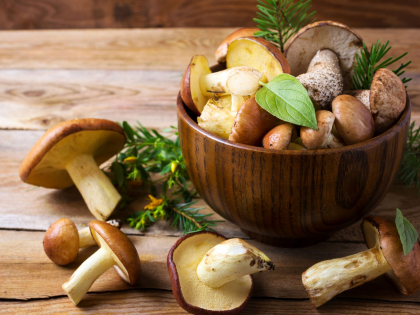 Mushrooms for Your Immune System Health