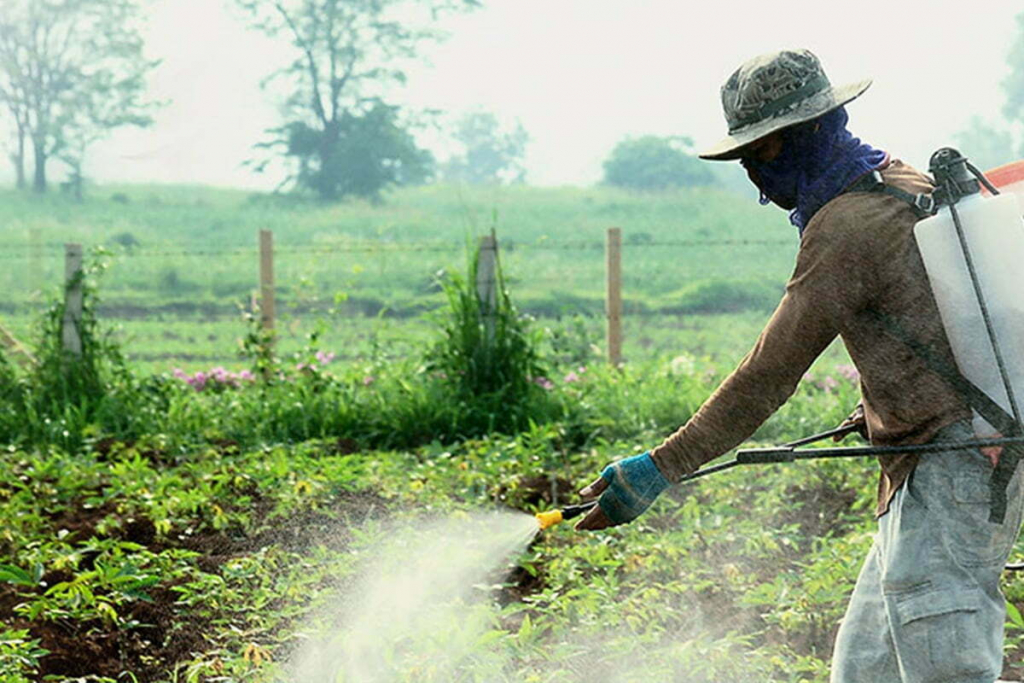 To Keep Harmful Pesticides At Bay