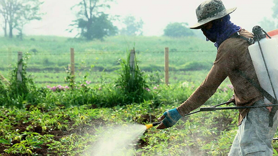 To Keep Harmful Pesticides At Bay