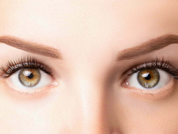 Female eyes with long eyelashes. Classic 1D, 2D eyelash extensions and light brown eyebrow close up. Eyelash extensions, lamination, biowave, microblading concept.