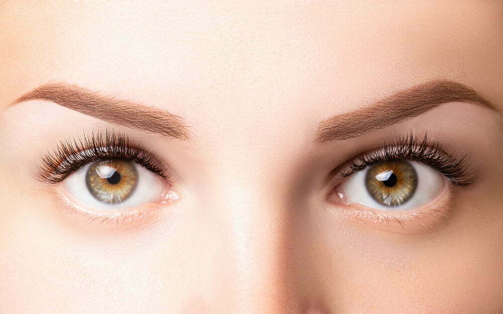 Female eyes with long eyelashes. Classic 1D, 2D eyelash extensions and light brown eyebrow close up. Eyelash extensions, lamination, biowave, microblading concept.