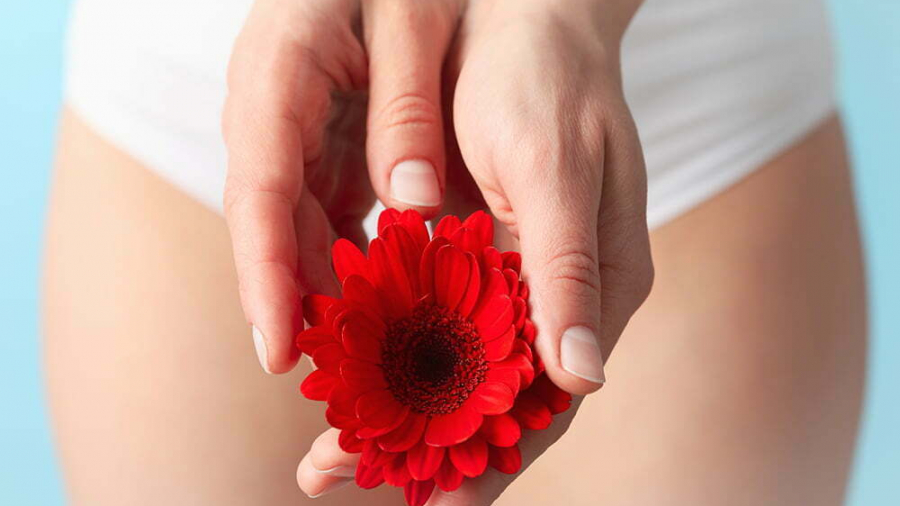 Woman in panties holding gerbera, close up